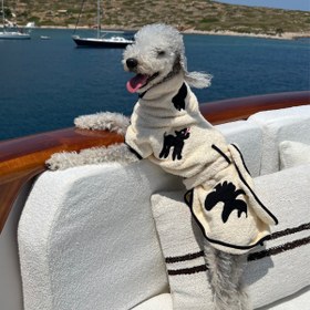 Resim Umbra Köpek Bornozu - Small / Umbra 