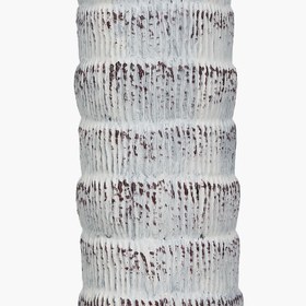 Resim Saksılı Silk Orchid Ağacı 170cm 