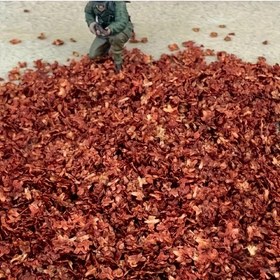 Resim 10g Model Sahne Yaprakları Renkli Asma Sonbahar Yaprakları Minyatür Aşk Tarlası Manzara DIY Bitki Çivit Kum Havuzu 