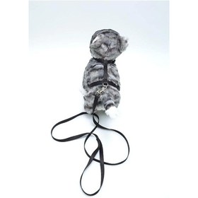 Resim Kedi Düz Göğüs Tasması Ve Gezdirme Seti Ps9644 