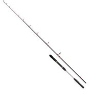 Resim Ryuji Searider 180 CM 60-180G 2 Parça Jig Kamışı 