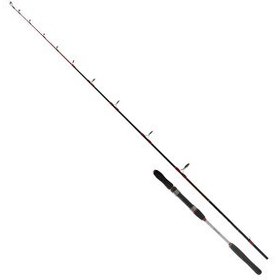 Resim Ryuji Searider 180 CM 60-180G 2 Parça Jig Kamışı 