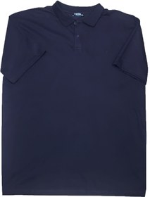 Resim Extra Büyük Beden Polo Yaka Lakost T-shirt 