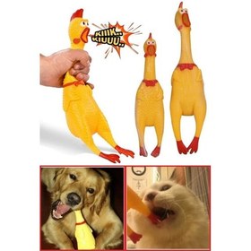 Resim Sesli Horoz Eğlenceli Köpek Ve Kediler İçin Sesli Öten Horoz Oyuncak 28 Cm 