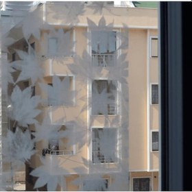 Resim Yaprak Desenli Cam Filmi 