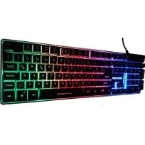 Resim Raynox Pro K1000 Mekanik Hisli LED Rgb Oyuncu Klavyesi 