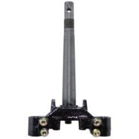 Resim Salcano Spıder 100 Alt Platin Orj. 