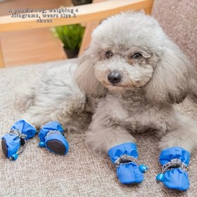 Resim 4'lü Set Köpek Pati Koruyucu, Kalınlaştırılmış Sıcak Köpek Botları, Kaymaz Köpek Ayakkabıları Kar Botları Elastik Tokalı 