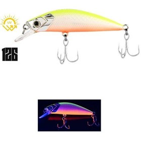 Resim Fujin Beagle 60s 6cm 6.5gr Sinking Maket Balık 126 