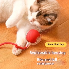 Resim [1pc Etkileşimli Elektrikli Kedi Oyuncak] Nalunkang Etkileşimli Elektrikli Kedi Oyuncak, Sesli, Dayanıklı Çiğneme Direnci Yüksek Top, Tüm Kedi Irkları İçin Evrensel Boyut, USB Şarj Edilebilir, Dahili Şarj Edilebilir Lityum Pil, Plastik Malzeme ile Yapılmıştır 