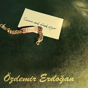 Resim Özdemi̇r Erdoğan - Canım Senle Olmak İstiyor Plak 
