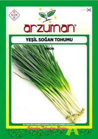 Resim Arzuman Yeşil Taze Soğan Tohumu 10 G 