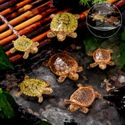 Resim 3 Adet Gerçekçi Kaplumbağa Ailesi Akvaryum Yüzen Dekoratif Minyatür Kaplumbağalar, Bonsai Yeşil Bitki Manzaralı Kayalık Figürleri Bahçe Havuzu Mikro-Manzara Süsleme Hediyesi 