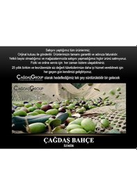 Resim Zanon - Benza - Olima 1J Zeytin Silkme Makinesi Motorlu 
