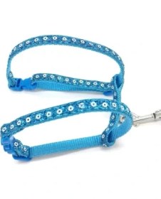 Resim MCM Group Parlak Kedi Gezdirme Göğüs Tasması 