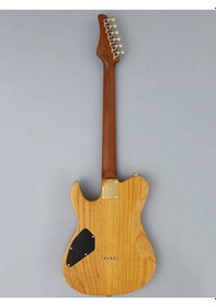 Resim Fujigen Iliad Elektro Gitar Eılew2hsrm/vnt 