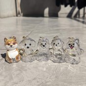 Resim Köpek Tüyü Hatıra Şişesi - Evcil Hayvan Severler İçin Anahtarlık, Anma Hediyesi, Hava Geçirmez Kap, Dayanıklı Malzeme, Sağlam Yapılı, Duygusal Tasarım 