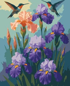 Resim Sayılarla Boyama Seti - Sinek Kuşları - 40x50 