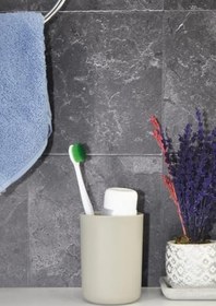 Resim Saban Diş Fırçalık Ve Macunluk Bej 