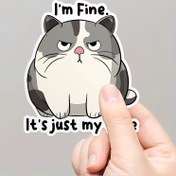 Resim Vinil "İyiyim" Kedi Çıkartması - Dizüstü Bilgisayarlar, Su Şişeleri, Telefonlar için Mizah İçeren Alaycı Meme Çıkartması - Kişiselleştirilmiş Aksesuarlar ve Hediyeler için Su Geçirmez, Dayanıklı Kalıplı Vinil Çıkartması 