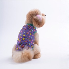 Resim Ice Cream Tişört Kedi Köpek Tişörtü-kedi Köpek Kıyafeti 