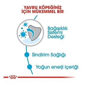 Resim Royal Canin Mini Puppy Küçük Irk Yavru Köpek Maması 4 Kg 
