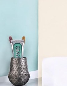 Resim Evene Diş Fırçalığı Diş Fırçalık Diş Fırçası Standı Diş Fırçası Tutucu Gümüş Eskitme Renk Model 15, e.dismodel15 