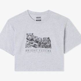 Resim Vans Bright Future Relaxed Crop Ss Çocuk Gri T-Shirt 