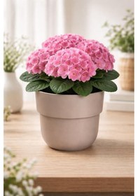 Resim So-kup4 Kuple Plastik Saksı Takımı İç Kovalı No:4 Mocha 11 Lt 6 Adet 