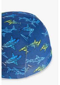 Resim Penti Renkli Erkek Çocuk Degrade Shark Bone Çok Renkli 