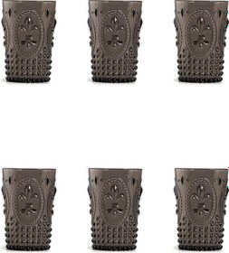 Resim Akrilik Füme 6'lı Kısa Bardak & Su Meşrubat Kahve Yanı Bardağı 400 ml ( Cam Değildir ) 