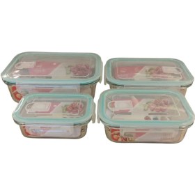 Resim Feyza Design Setli 4 Parça Dikdörtgen Borcam Saklama Kabı, Dayanıklı ve Şık Tasarım 