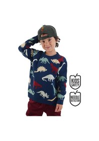 Resim Denokids Dinolar Erkek Çocuk Lacivert Triko Kazak Renkli 
