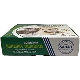 Resim Kedi Ve Köpekler İçin Diş Bakım Damlası - Maxisol Maxident Fresher 