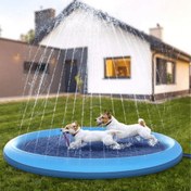 Resim Paw Portal Köpek Oyun Havuzu 