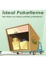 Resim 3'lü İç Mekan Bitkileri Paketi 