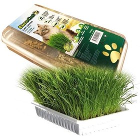 Resim Eurocat Kedi Çimi 