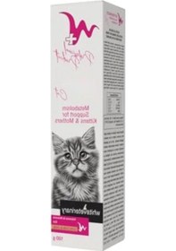 Resim Yavru Ve Anne Kediler İçin 100 Gr Macun 