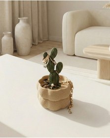 Resim Elana Design Kaktüs Tasarımlı Takı Kutusu Yüzük, Bileklik Ve Kolye Düzenleyici Dekoratif Saklama Kutusu Bej 