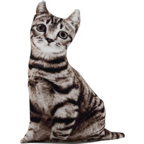Resim Suzi 3D Kedi Yastık 