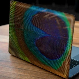 Resim Tavuskuşu Tüyü Notebook Sticker, Laptop sticker,, Hp Sticker, Asus Sticker, 15.6 inç Sticker 