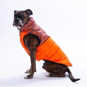Resim Pawstar Turuncu Elgin Paws Su İtici Orta-büyük Irk Köpek Puf Yelek Yağmurluk 