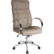 Resim Ofisel Konfor Yönetici Koltuğu Taş Mat Krem KNF113 