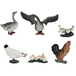 Resim 6'lı Kümes Hayvanları Hayvan Set 1 