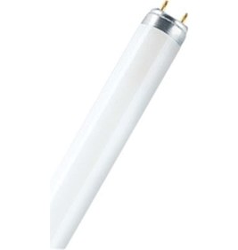 Resim Şavk Amp Flore T8 G13 Sinek 10 W/BL 34 CM 