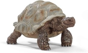 Resim Schleich Dev Tosbağa 14824 
