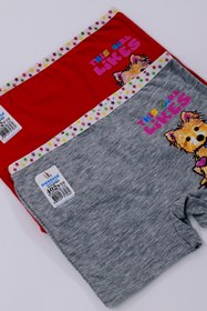 Resim Dondeza Kız Çocuk Baskılı Likralı Ikili Boxer 