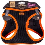 Resim Doggie Havalı Dokuma Neon Küçük Irk Göğüs Tasması Turuncu 38-44 Cm Ang-m Çok Renkli 