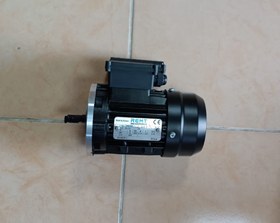 Resim Remt, Runnermotors 30001282 220V 0.18Kw, 2760 Rpm Flanşlı Motor 