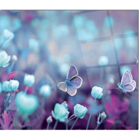 Resim Olinpa Cam Ocak Arkası Koruyucu | Mavi Kelebek 